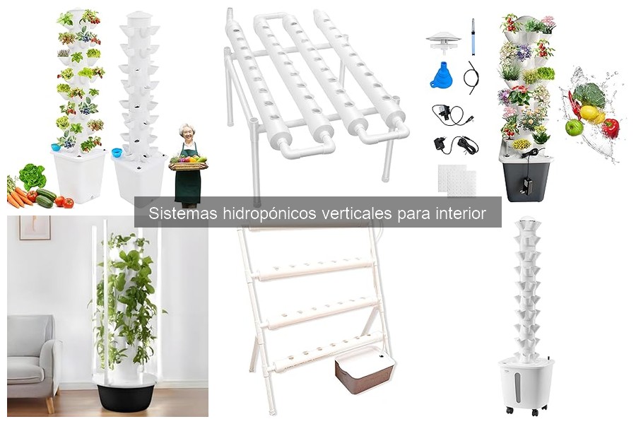 Plantas ideales para sistemas hidropónicos verticales