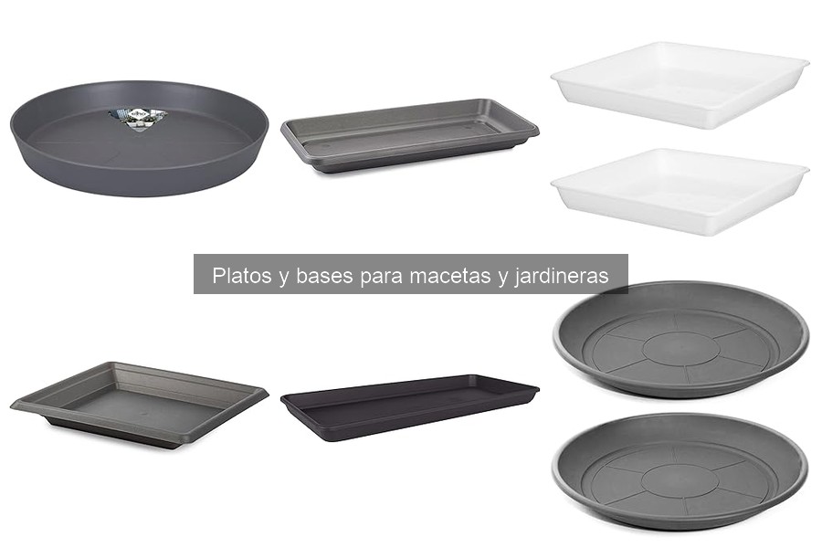 Platos y bases para macetas: definición y funciones esenciales