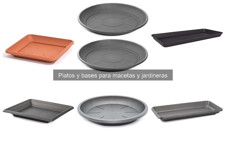 Platos y Bases para Macetas que Previenen el Moho