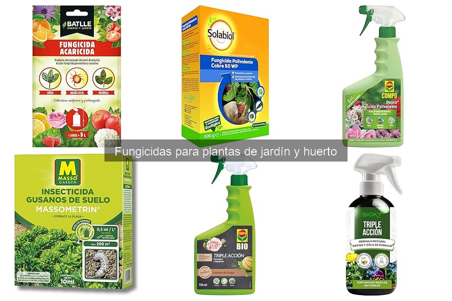 ¿Por qué no funciona mi fungicida? Soluciones efectivas
