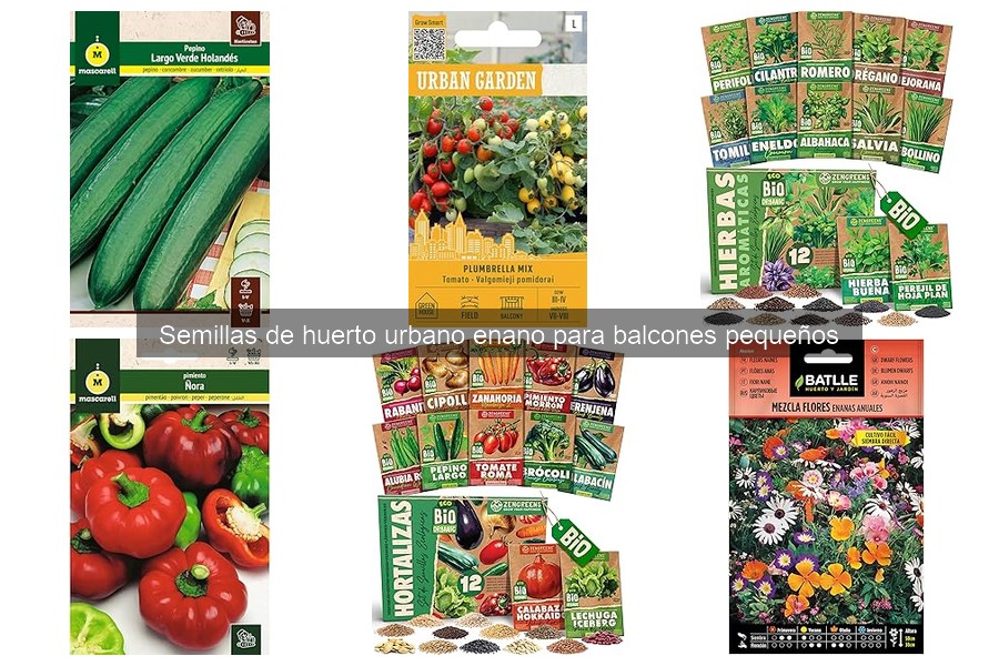 Precio y dónde comprar semillas para huertos urbanos enanos