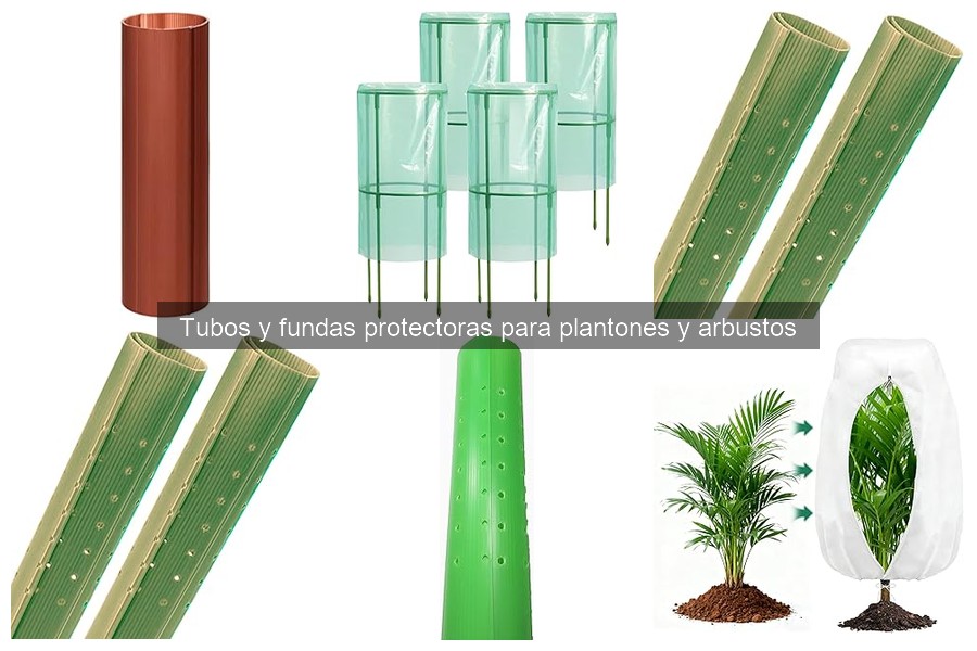 Precio y dónde comprar tubos y fundas protectoras para plantas