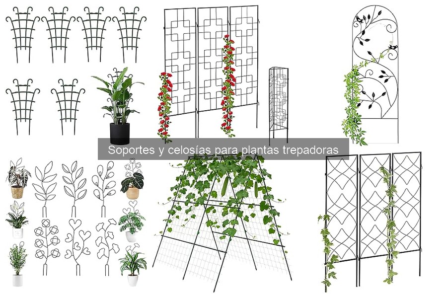Precios de celosías para plantas trepadoras y ofertas
