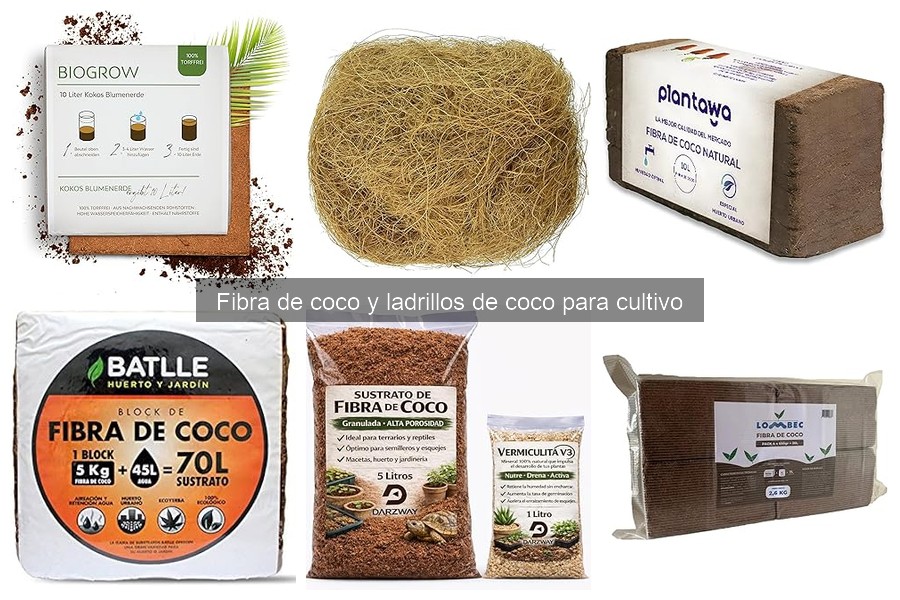 Precios de Fibra de Coco y Ladrillos para Cultivo en 2023