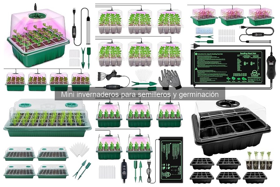 Precios de Mini Invernaderos para Semilleros y Dónde Comprarlos