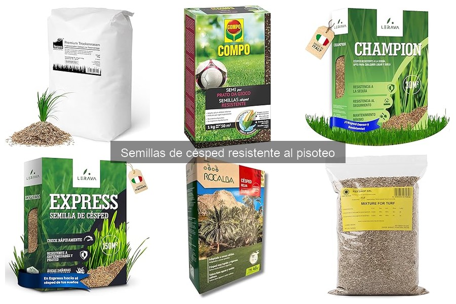 Precios Semillas de Césped Resistente al Pisoteo