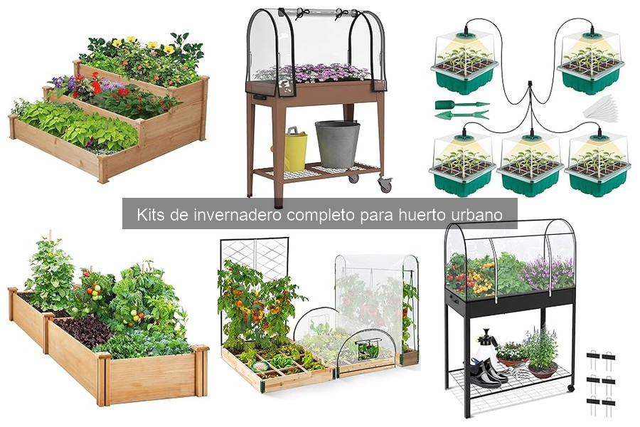 Precios y dónde comprar kits de invernadero completos