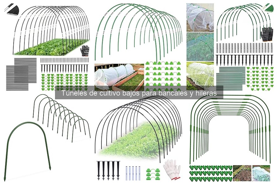 Precios y dónde comprar túneles de cultivo bajos