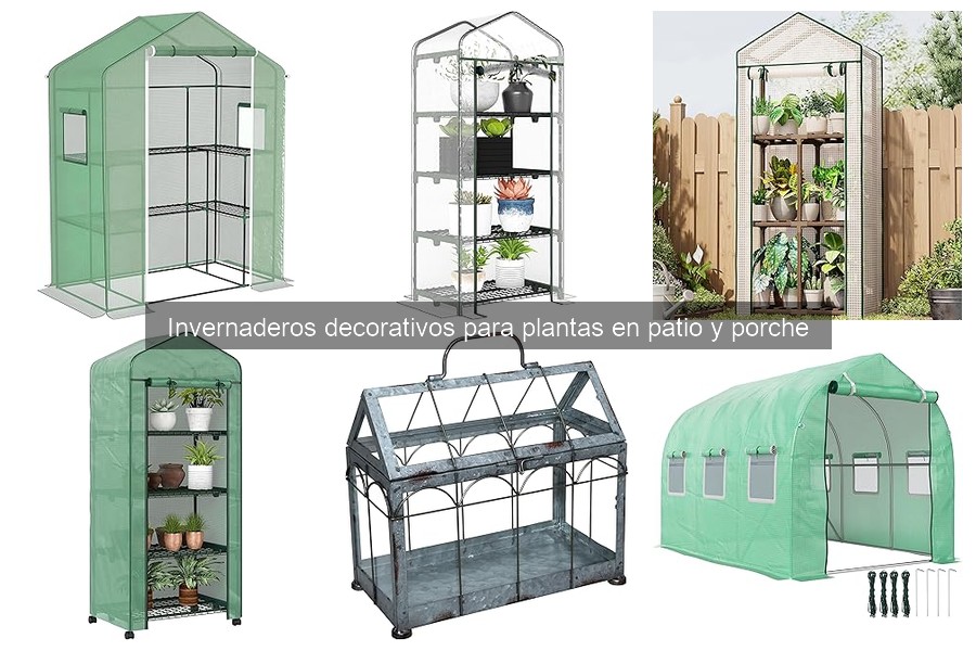Presupuesto promedio de invernaderos decorativos para plantas