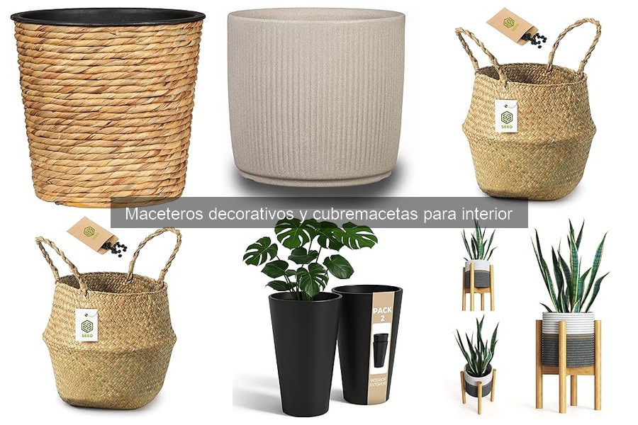 Presupuestos para Maceteros Decorativos ¿Cuánto Invertir?
