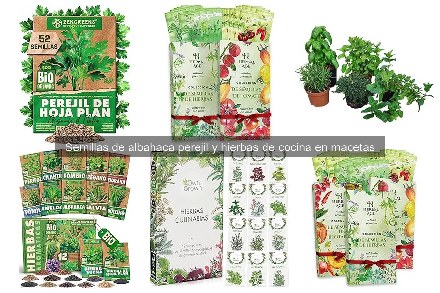 Problemas comunes al cultivar albahaca en casa y soluciones