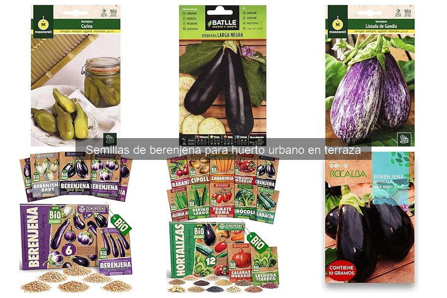 Problemas comunes al cultivar berenjenas y sus soluciones