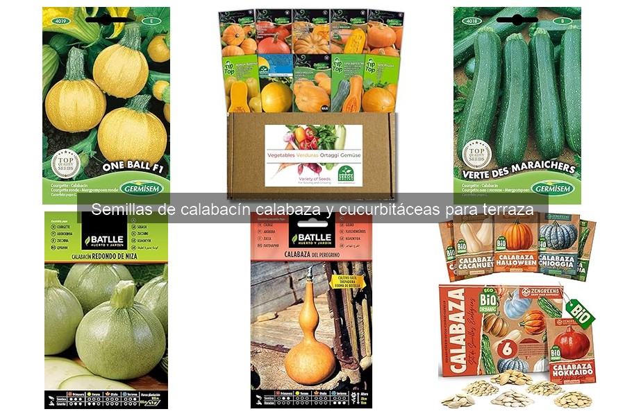** Problemas comunes al cultivar calabacines y calabazas