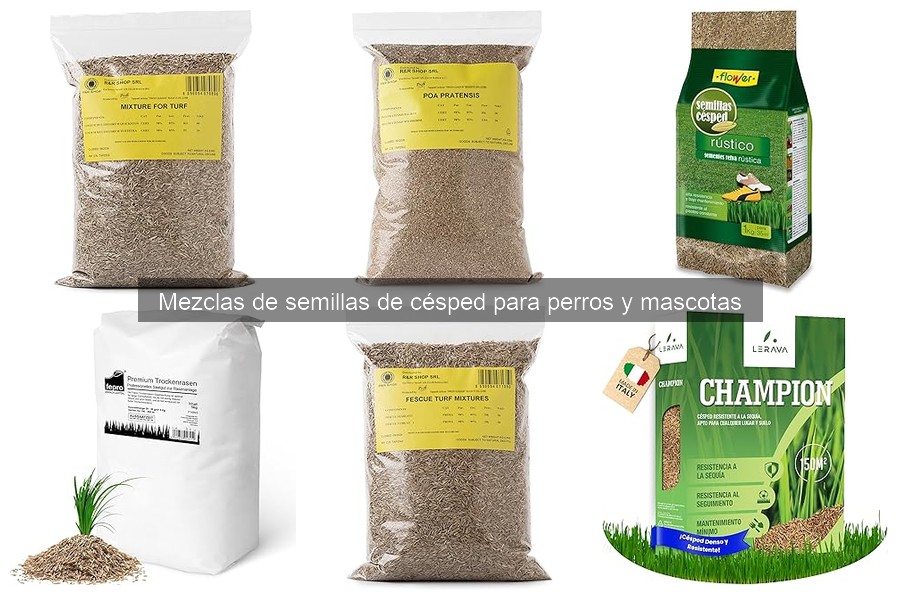 Problemas comunes al cultivar césped para perros y soluciones