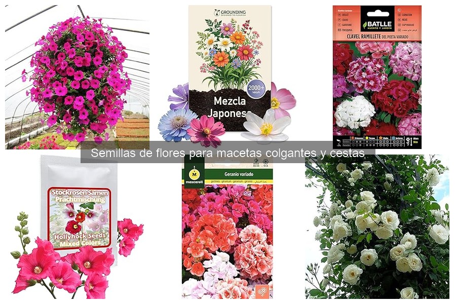 Problemas comunes al cultivar flores en macetas colgantes