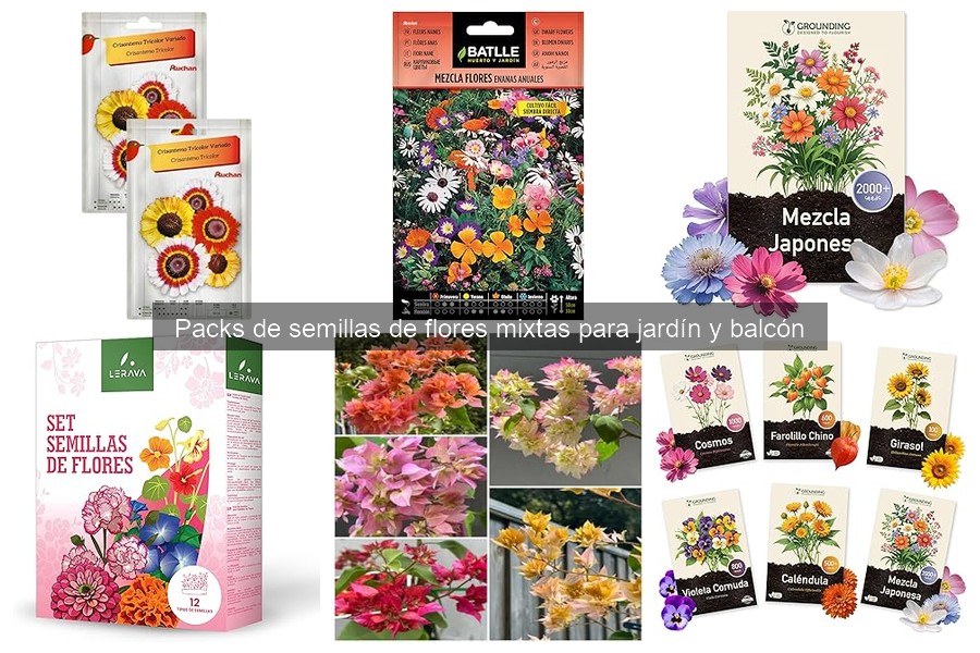 Problemas comunes al cultivar flores en macetas y soluciones