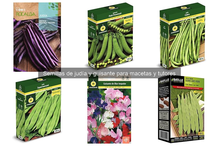 Problemas comunes al cultivar judías y guisantes en macetas