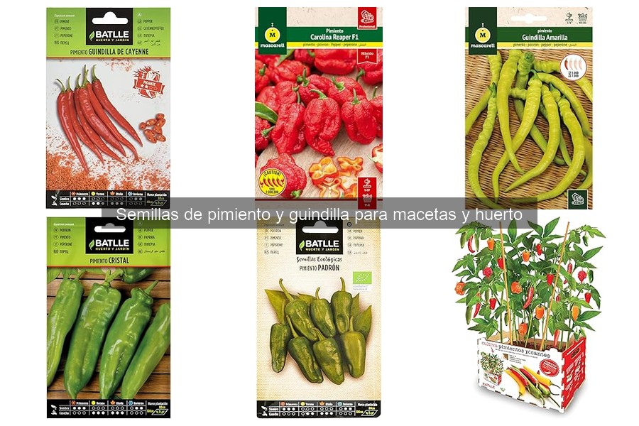 Problemas comunes al cultivar pimientos en macetas