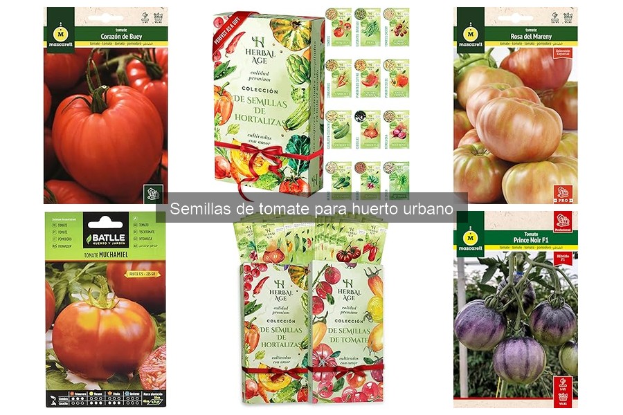 Problemas comunes al cultivar semillas de tomate y soluciones
