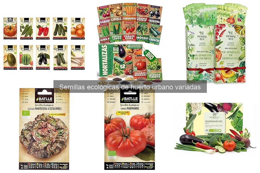 Problemas comunes al cultivar semillas ecológicas en casa