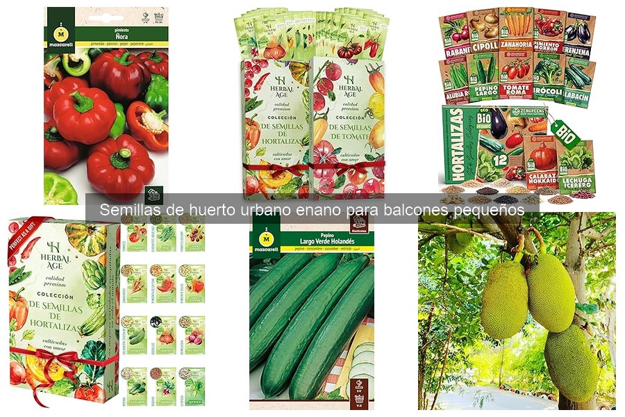 Problemas comunes al cultivar semillas en balcones pequeños