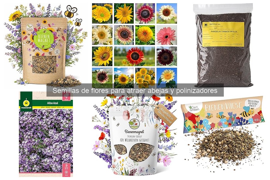 Problemas comunes al plantar semillas de flores para polinizadores