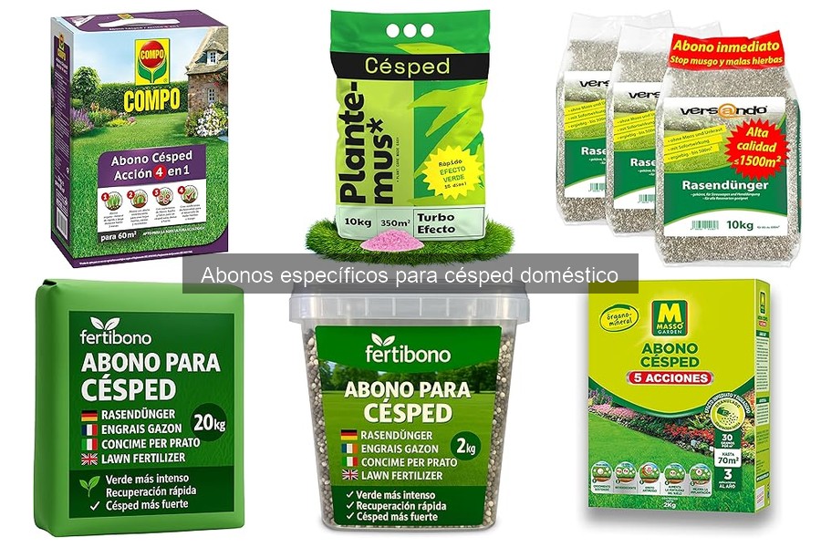 Problemas comunes al usar abono para césped y soluciones