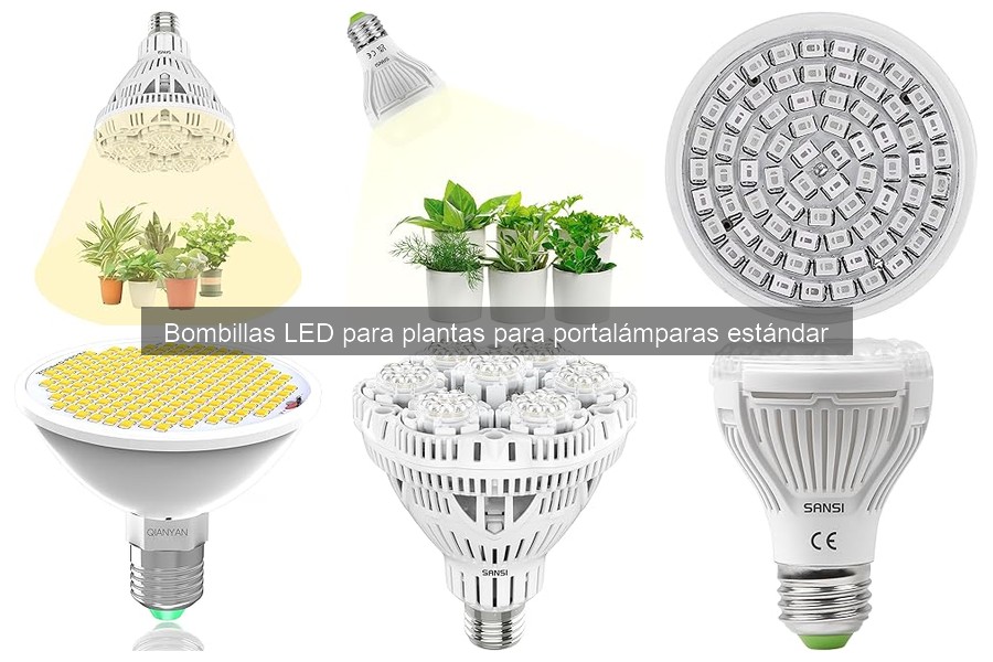 Problemas comunes al usar bombillas LED para plantas