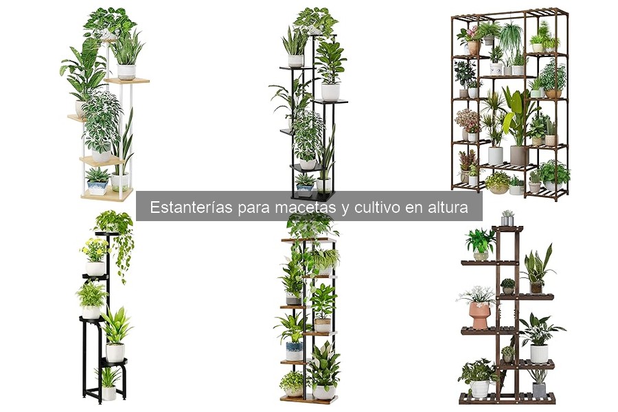 Problemas comunes al usar estanterías para macetas