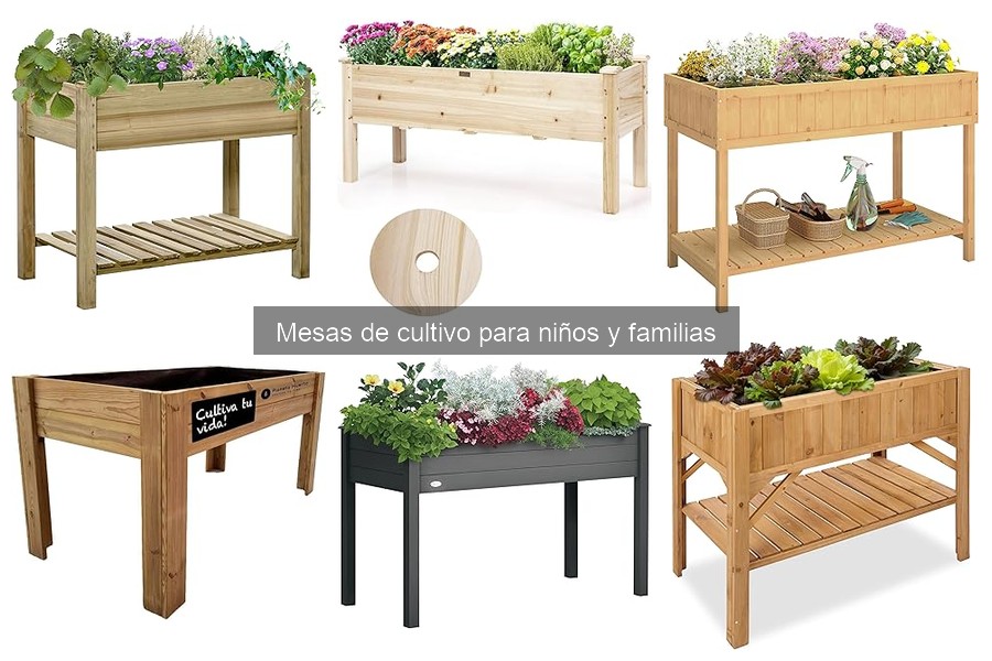 Problemas comunes al usar mesas de cultivo para niños