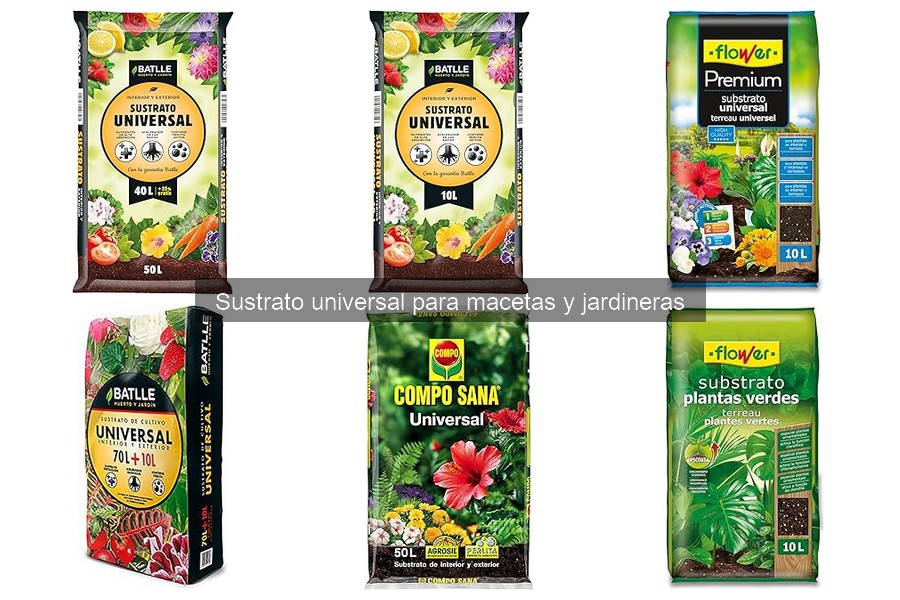 Problemas comunes al usar sustrato universal en macetas