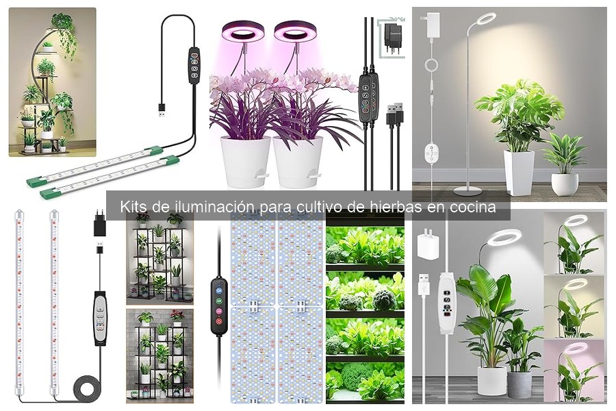 Problemas comunes con kits de iluminación para cultivo
