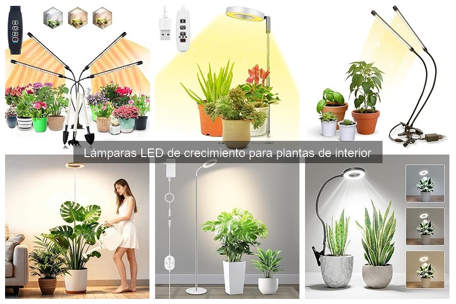 Problemas comunes con lámparas LED de crecimiento y soluciones