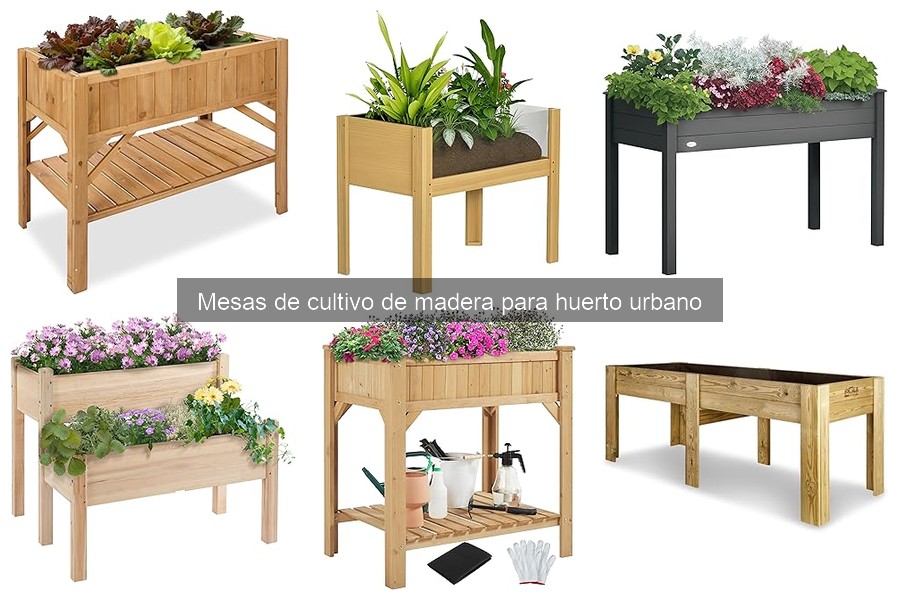 Problemas comunes con mesas de cultivo de madera para huertos