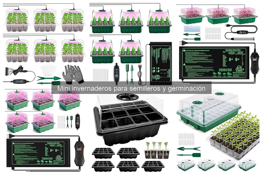 Problemas comunes con mini invernaderos y sus soluciones