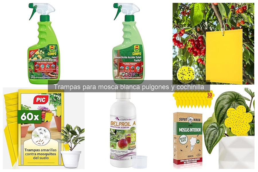 Problemas comunes con trampas para mosca blanca y soluciones