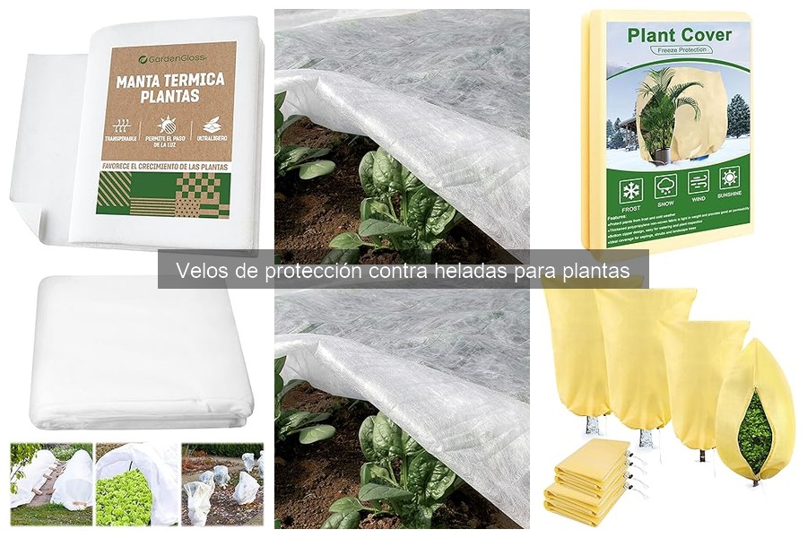 Problemas comunes con velos de protección contra heladas