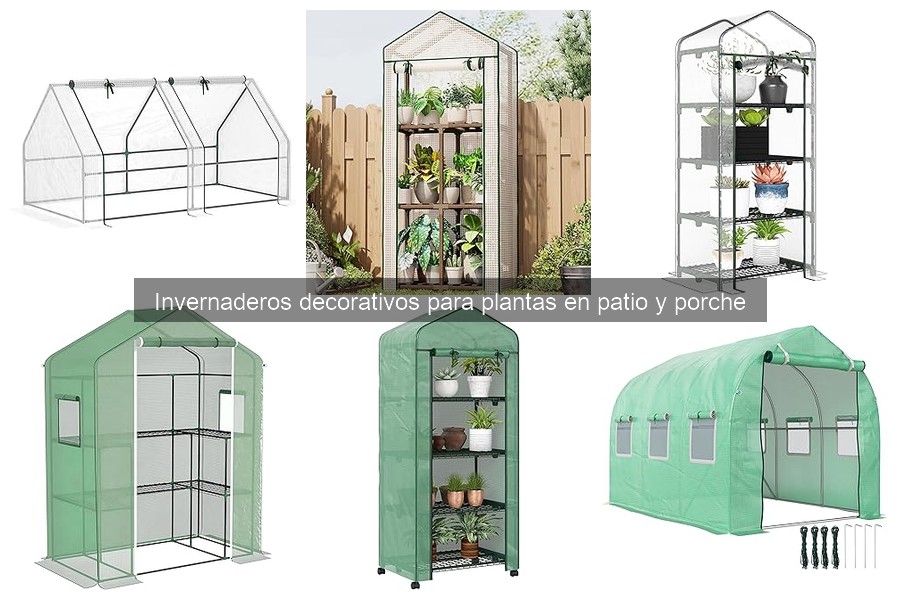 Problemas comunes de invernaderos decorativos y soluciones