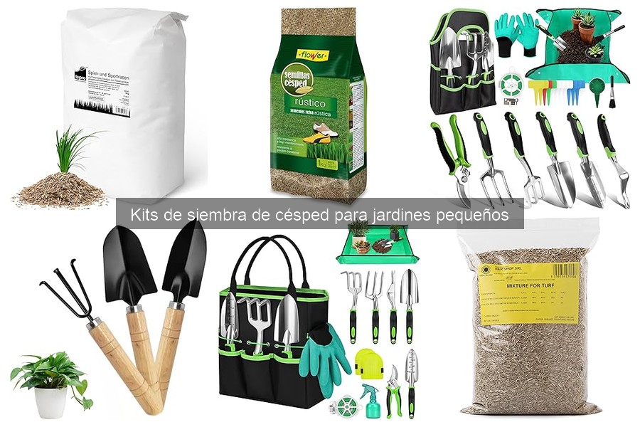 Problemas comunes del césped sembrado con kits de siembra