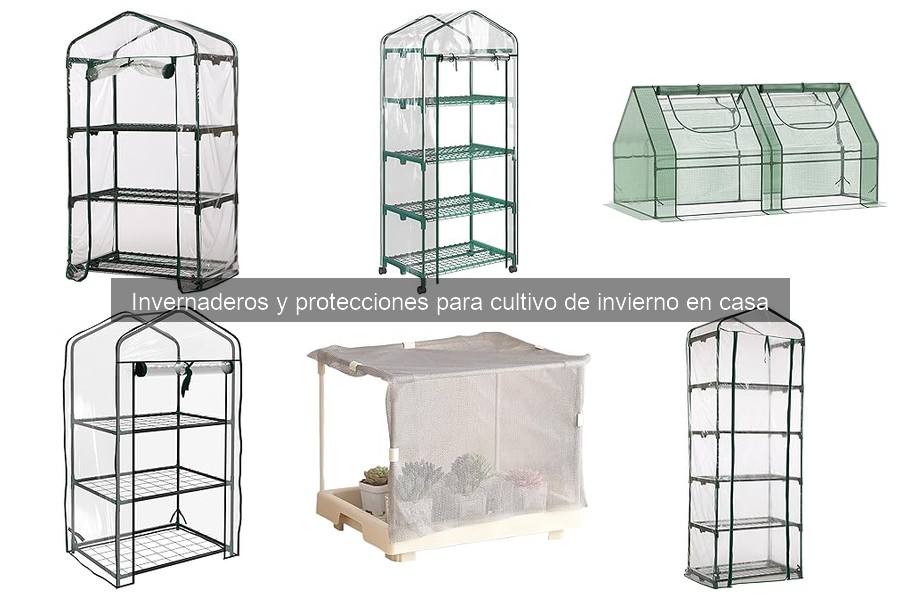 Problemas comunes en invernaderos de invierno y soluciones