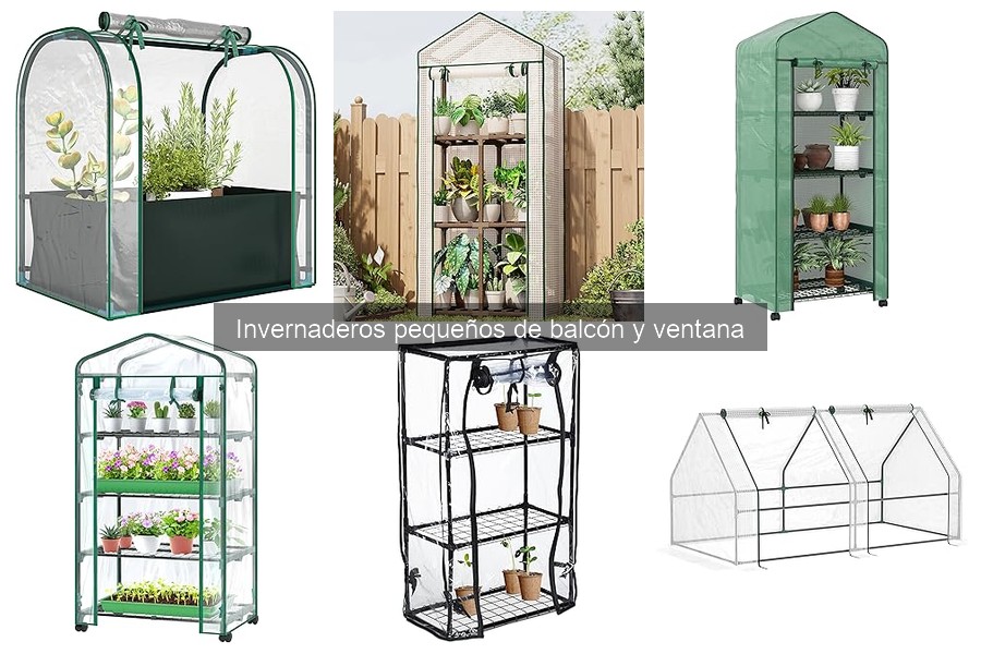 Problemas comunes en invernaderos pequeños y soluciones prácticas
