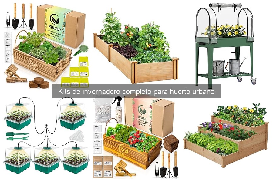 Problemas comunes en kits de invernadero y sus soluciones