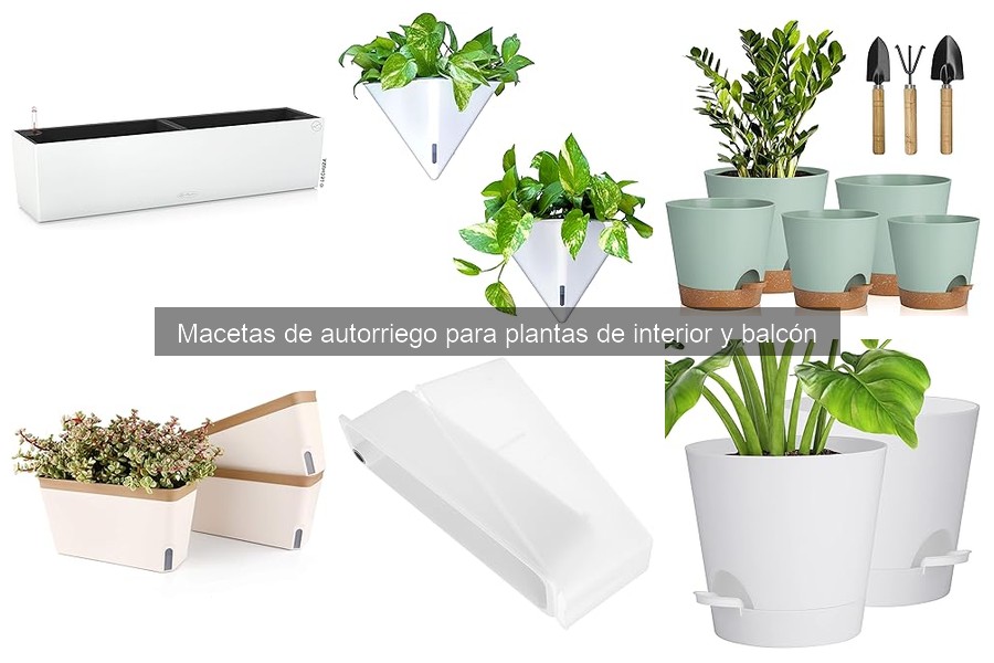 Problemas comunes en macetas de autorriego y soluciones