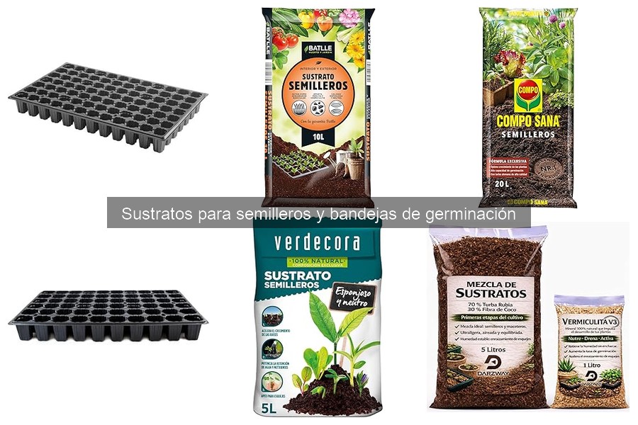 Problemas comunes en sustratos para semilleros y soluciones