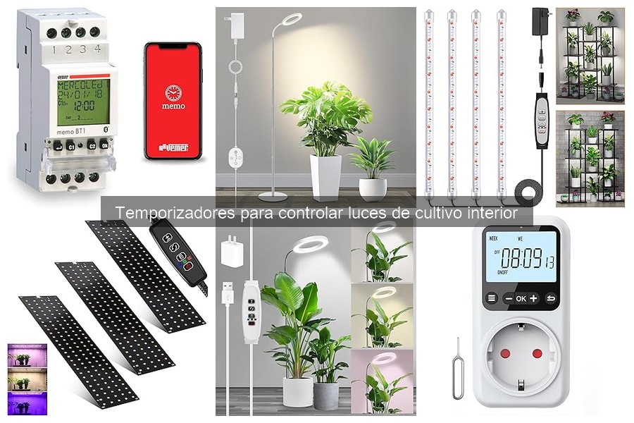 Problemas y soluciones comunes con temporizadores de cultivo