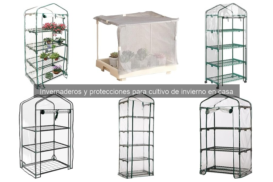 Protege tu invernadero: soluciones para plagas y roedores