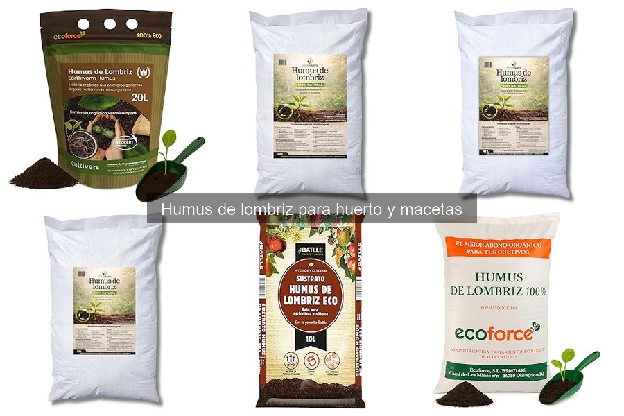 ¿Qué es el humus de lombriz y por qué usarlo en tu huerto?