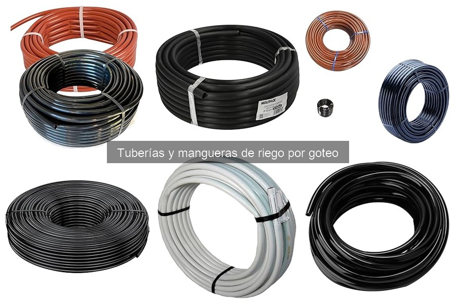 ¿Qué es el riego por goteo? Guía para principiantes