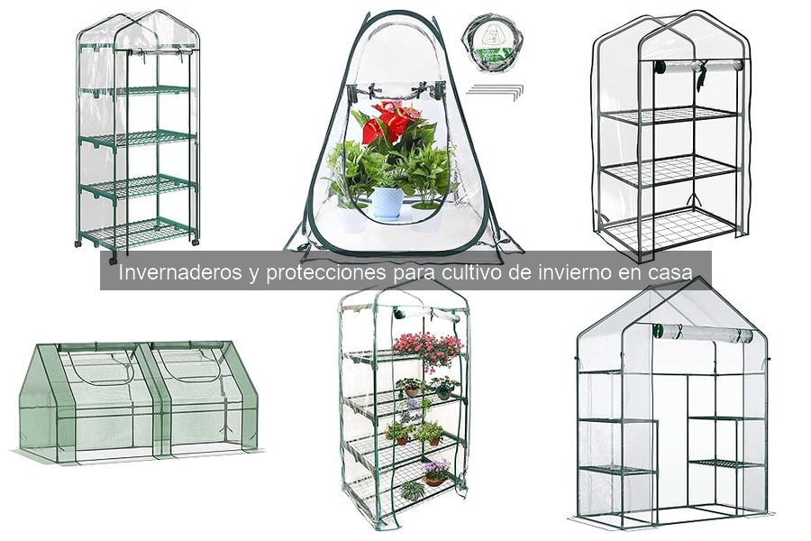 Qué es un invernadero y cómo funciona: guía esencial