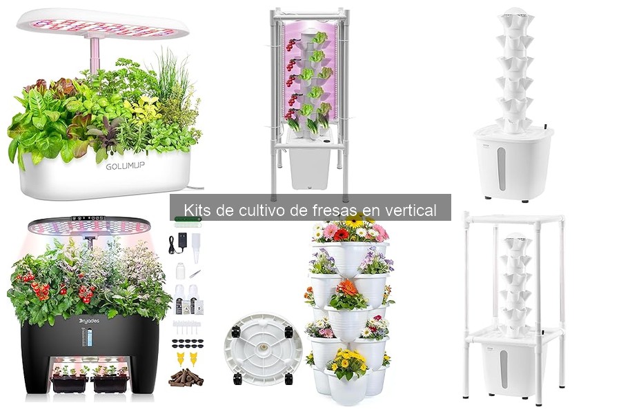 Qué es un kit de cultivo de fresas en vertical: Guía completa